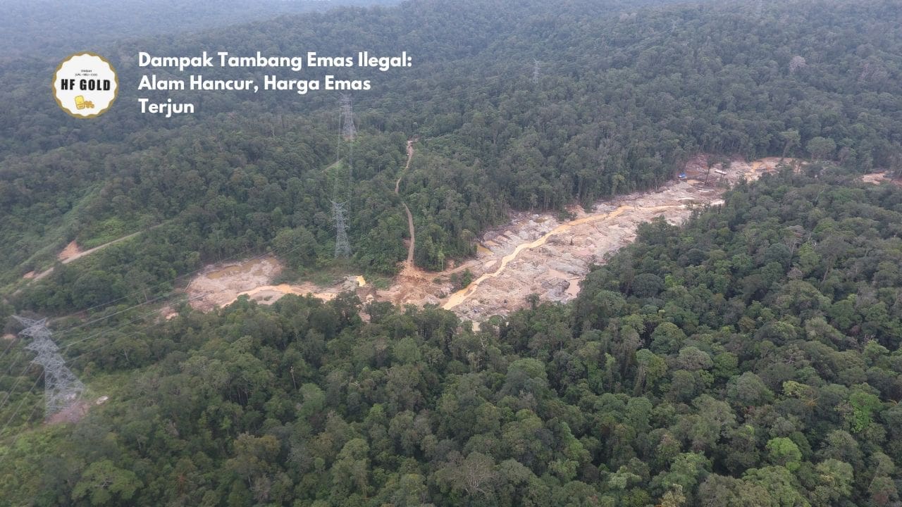 Dampak Tambang Emas Ilegal: Alam Hancur, Harga Emas Terjun