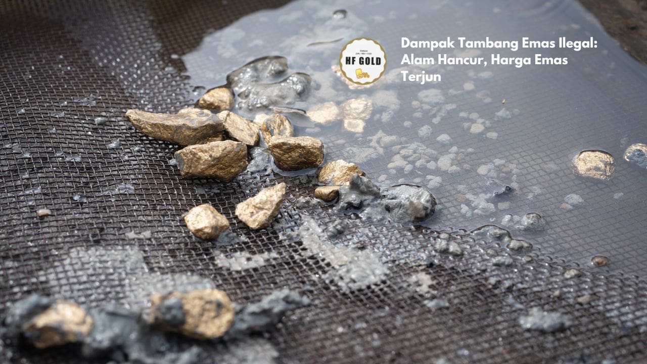 Dampak Tambang Emas Ilegal: Alam Hancur, Harga Emas Terjun