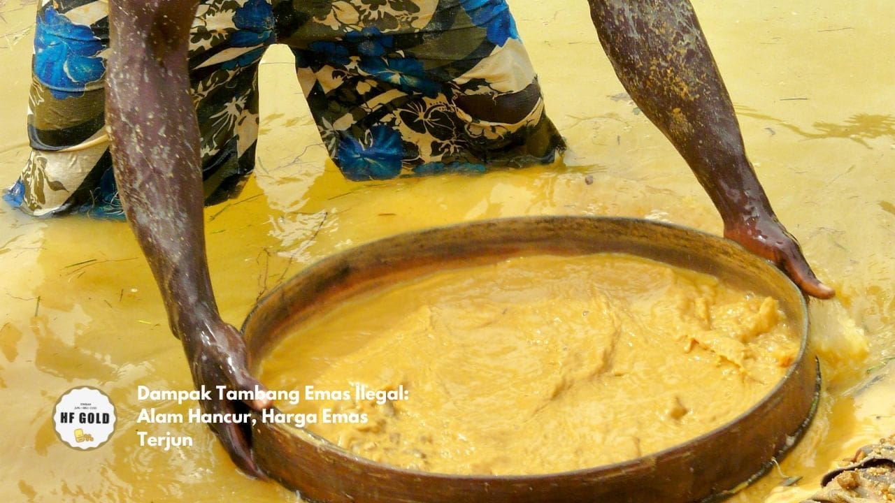 Dampak Tambang Emas Ilegal: Alam Hancur, Harga Emas Terjun